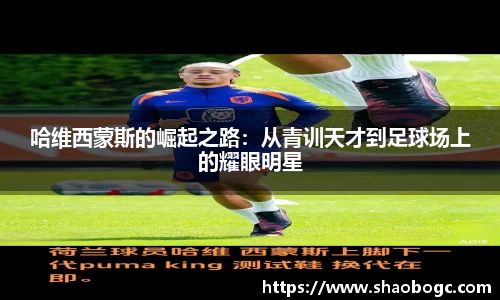 lewin乐玩