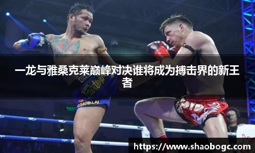 lewin乐玩官网